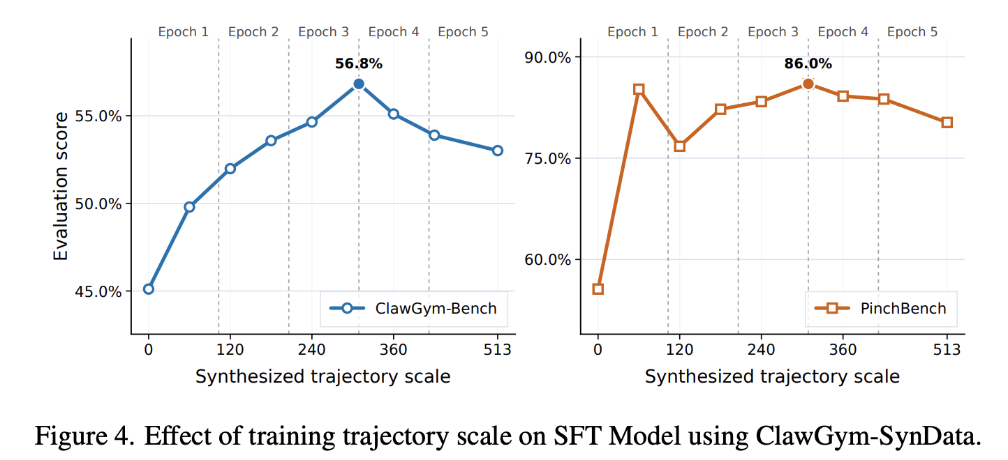 Training Dynamics